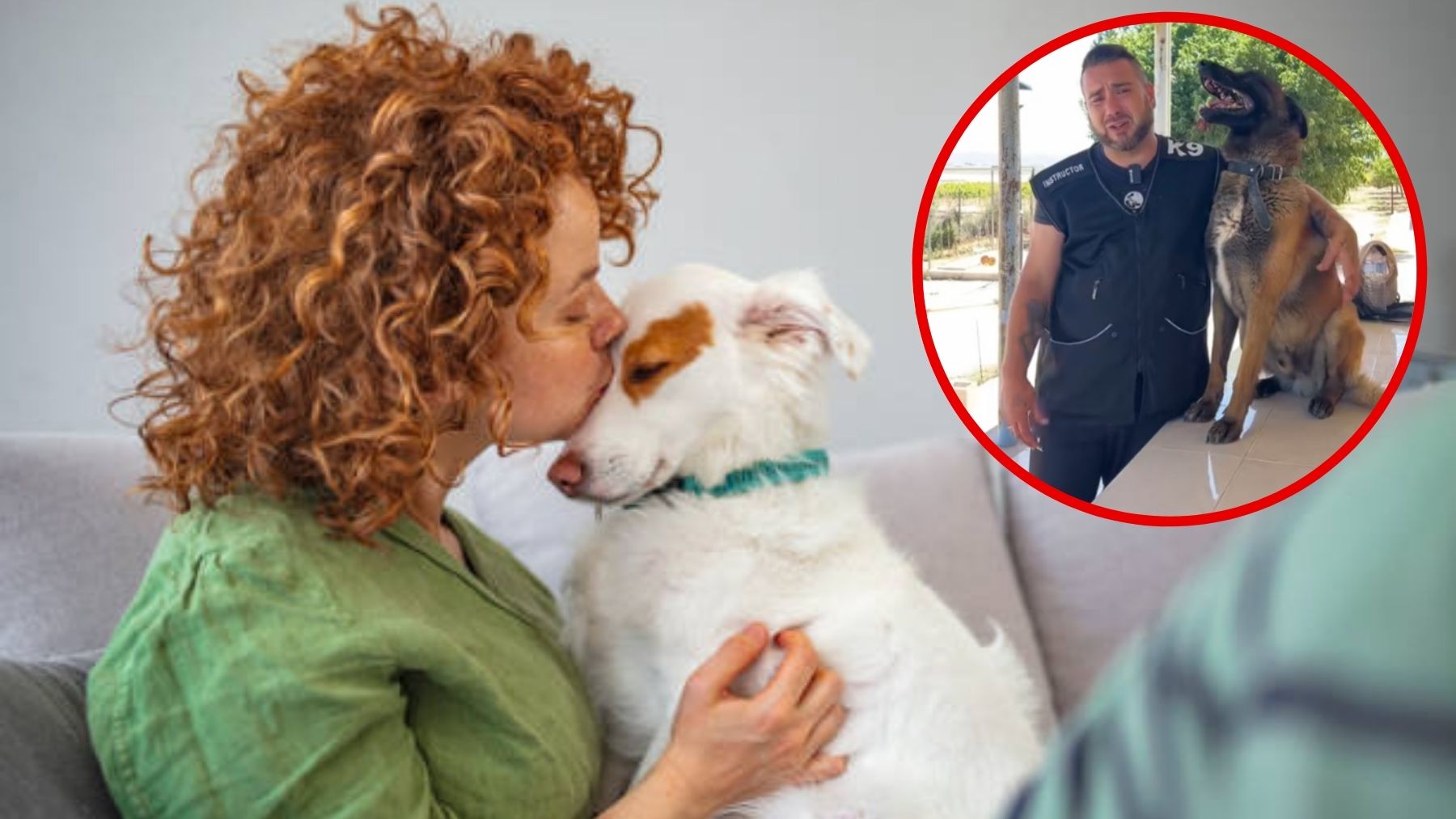 Soy adiestrador canino y esto que haces con tu perro es inquietante y un error