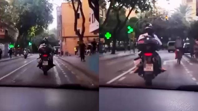 Ver vídeo