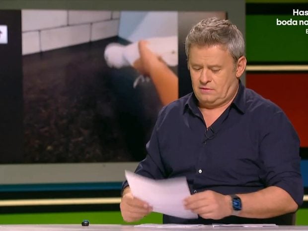 Miki Nadal en 'Zapeando'. (Atresmedia)