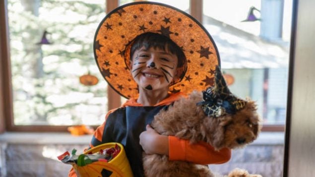 disfraces Halloween Lidl