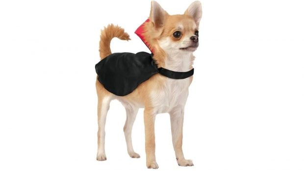 disfraces Halloween Lidl