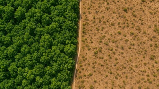 Especies, fenómeno, curiosidades, naturaleza