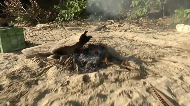 Fuego de los supervivientes. (Mediaset)