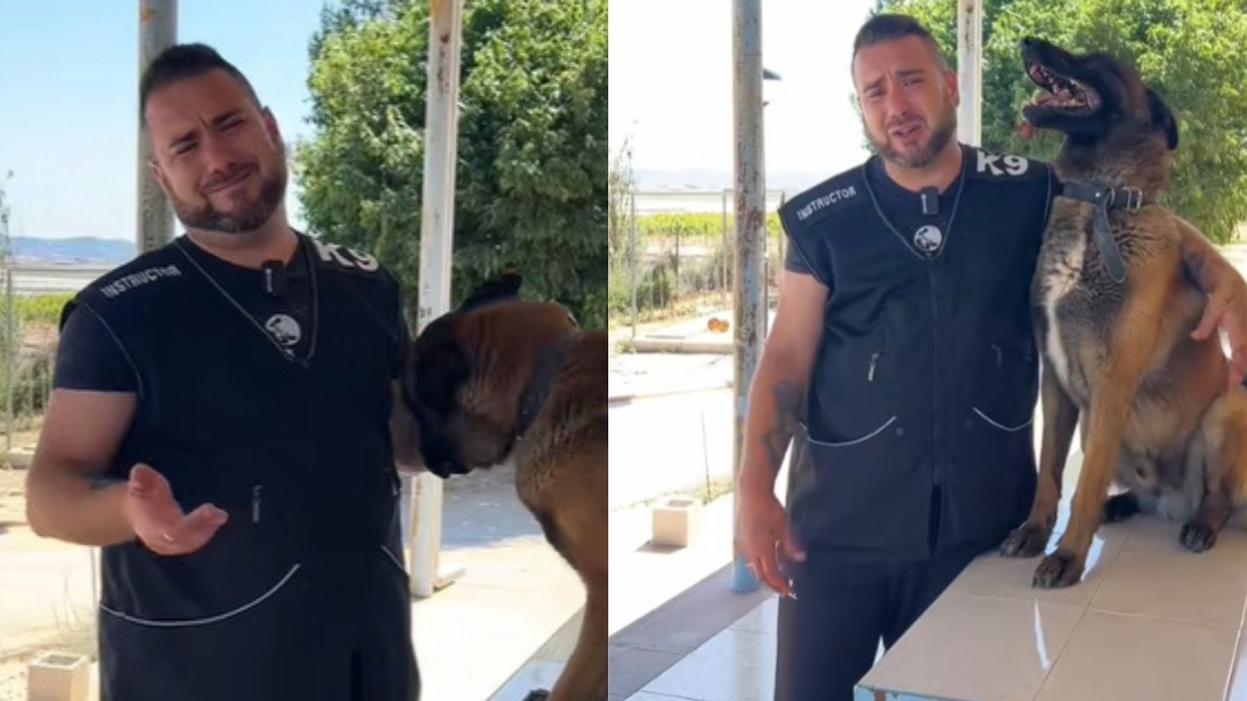 Si hablas a tu perro como si fuera un bebé, estás en serios problemas: lo dice el entrenador de perros Alejandro Flores