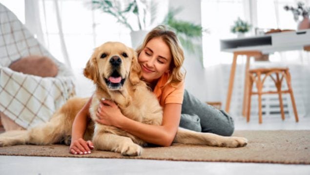 deducción mascota Andalucía