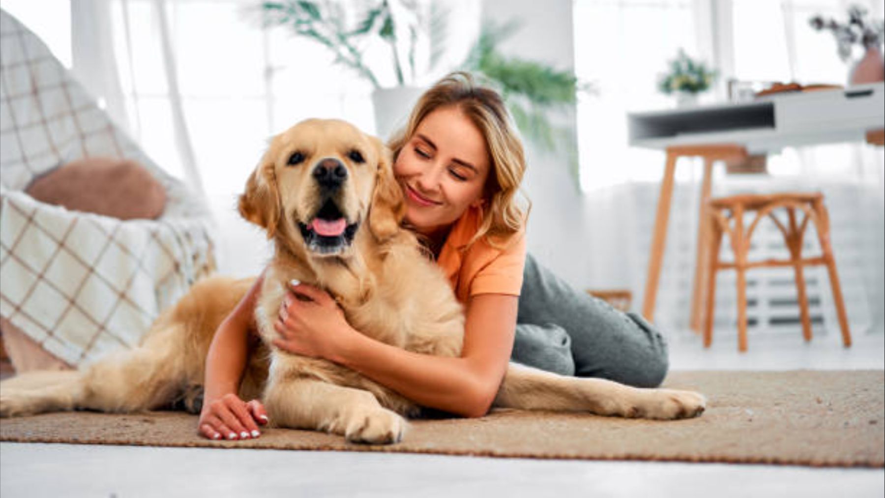 Tener perro es un chollo si vives aquí: cómo conseguir la nueva deducción por mascota en Andalucía