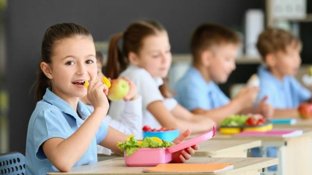 comedor escolar