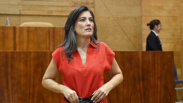 Begoña Gómez, Manuela Bergerot, Más Madrid