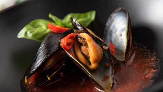 Mejillones caseros