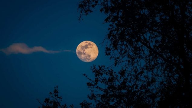 Fases luna