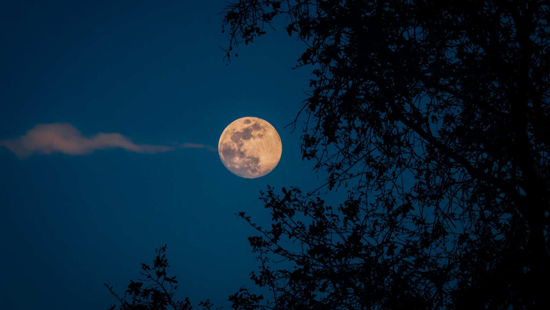 Calendario lunar octubre 2025: fases, fechas y cuándo ver la superluna