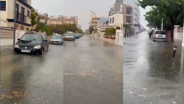 Ver vídeo