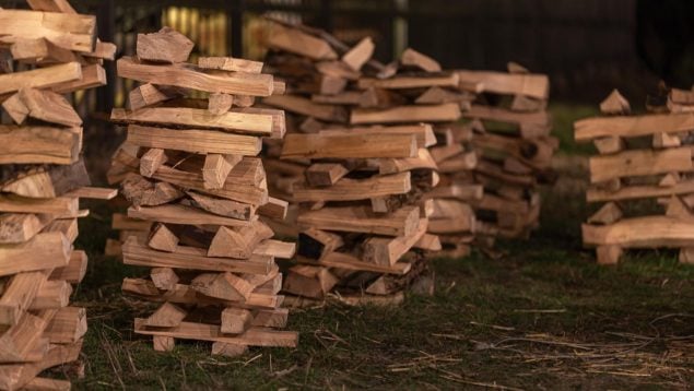 Árboles, pallets orgánicos, naturaleza, curiosidades