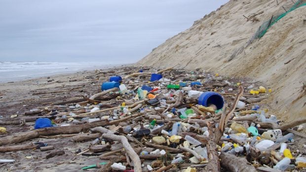 Basura, plástico y desechos en una playa.