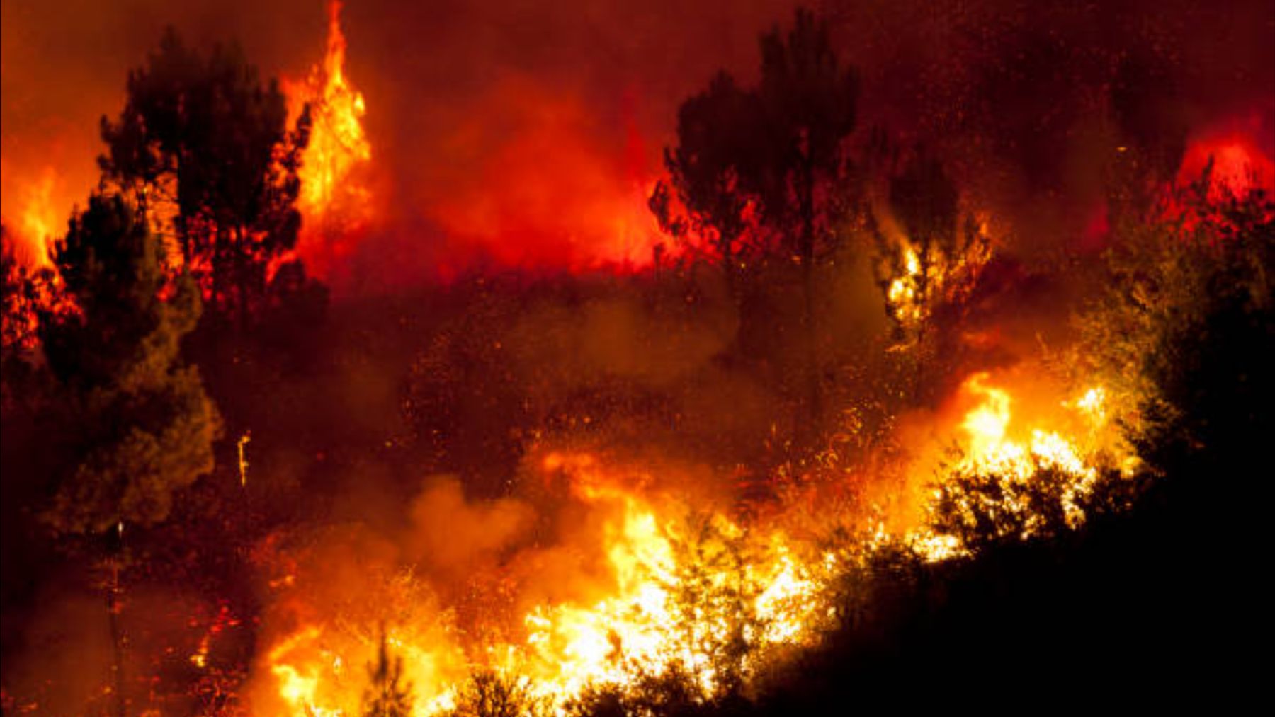 Un experto en incendios alerta a España y confirma que no estamos preparados para lo que va a pasar