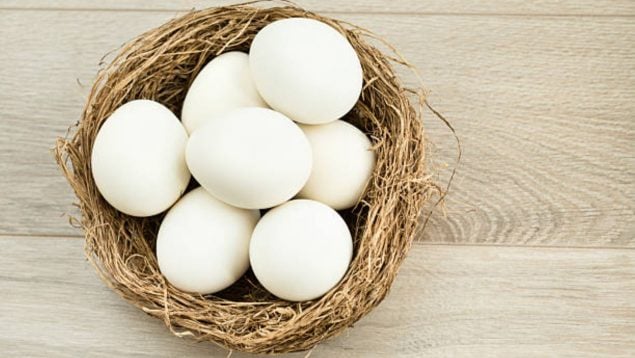 huevos blancos