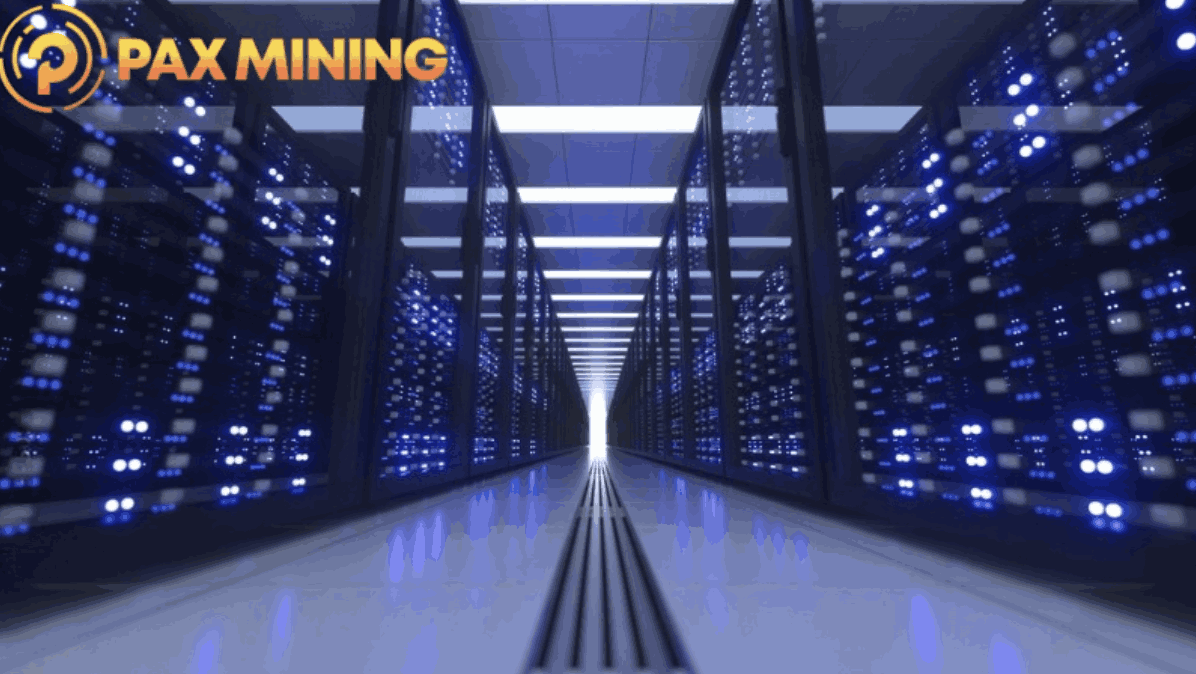 PAXMINING: los principiantes pueden ganar 5.600 dólares diarios. Comienza la minería en la nube con un solo clic usando criptomonedas