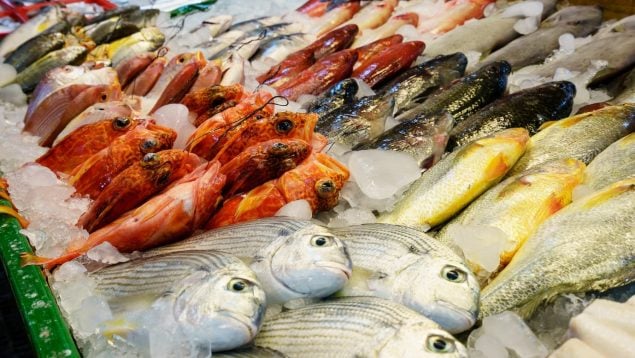 El pescado está fresco