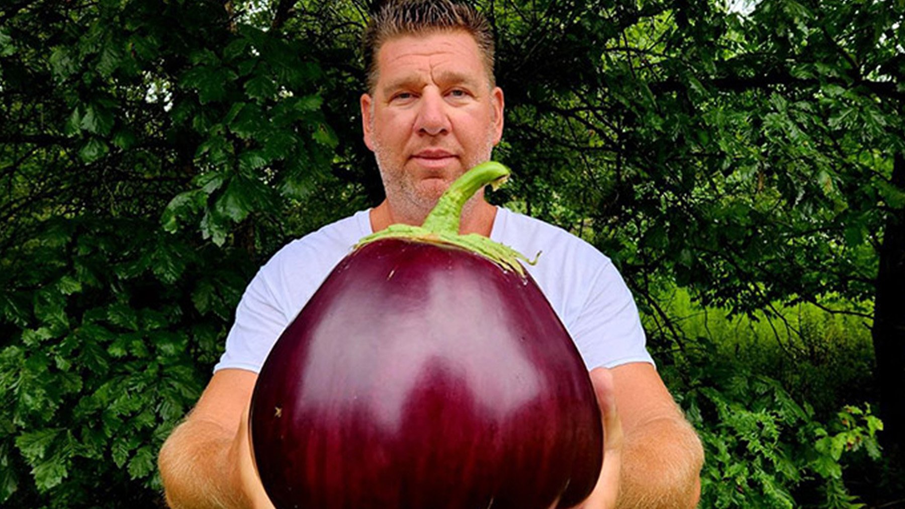Un agricultor cosecha la berenjena más grande de la historia: pesa más de 4 kilos y no cabe en una mano