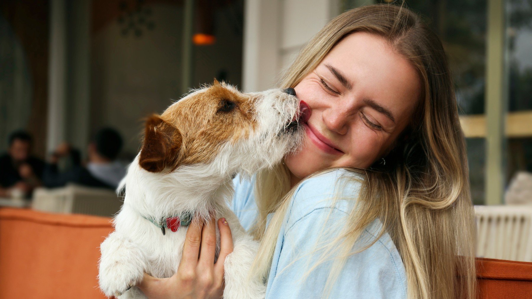 Tu perro no te chupa porque te quiere: la verdadera razón te va dejar mudo, según una experta