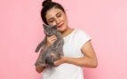 Gato, felino, animal, mascota, curiosidades