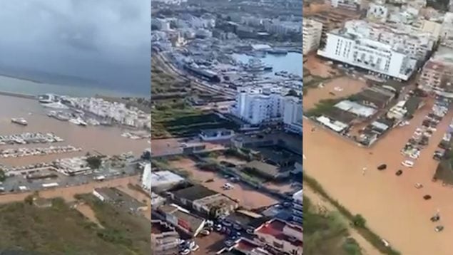 Ver vídeo