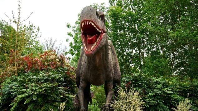 Megaraptor