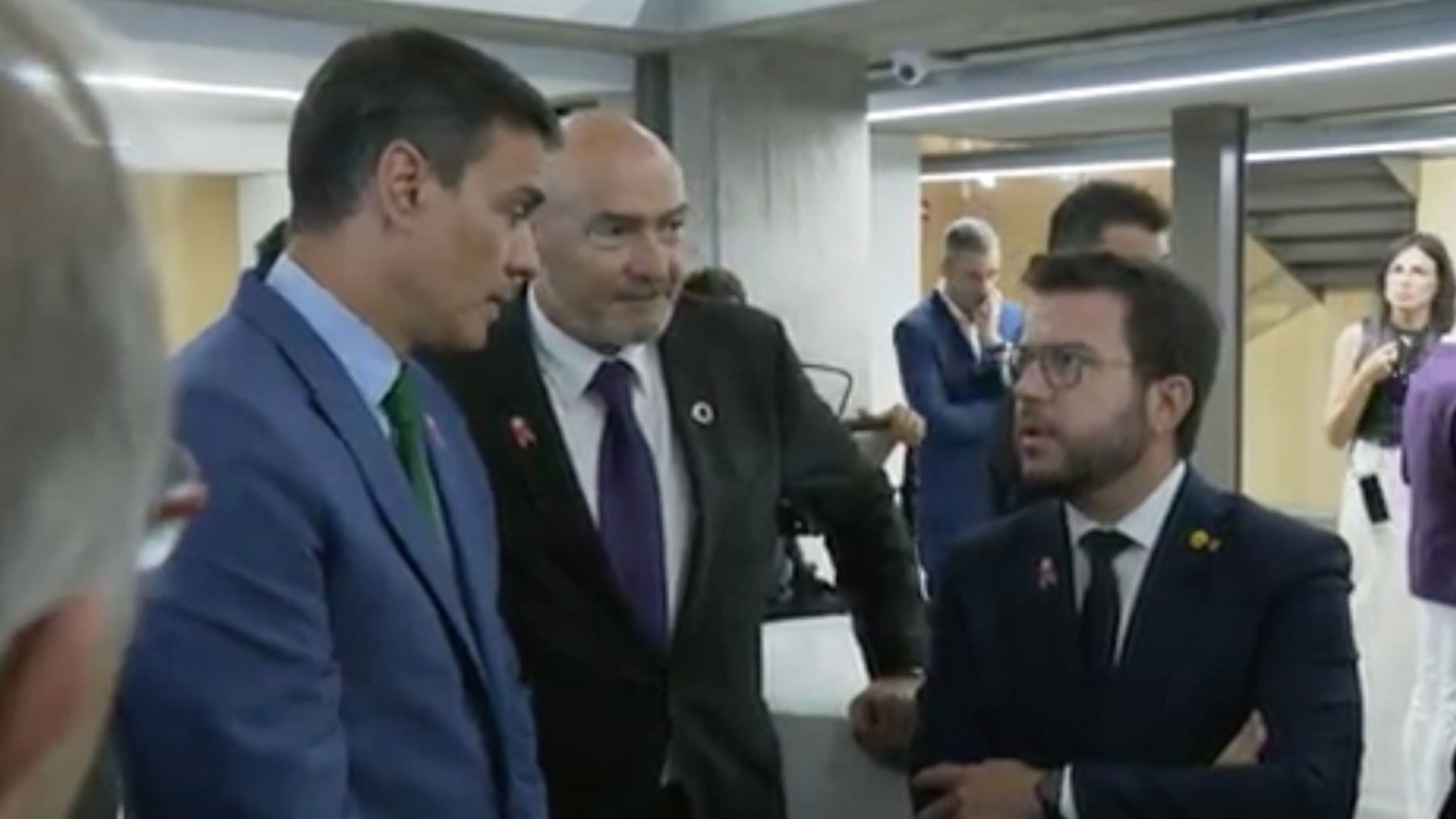 Ver vídeo