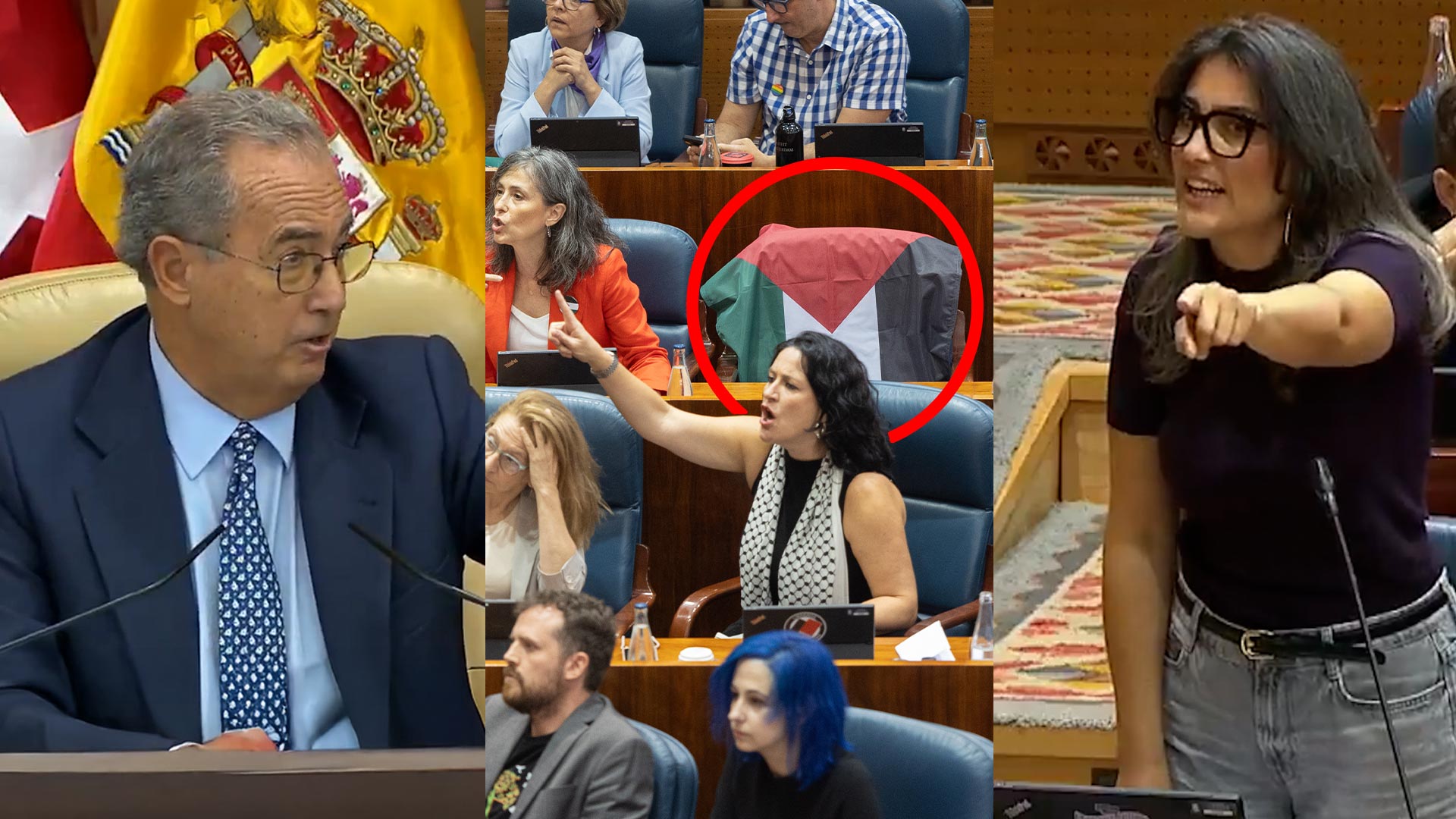 Bronca en la Asamblea de Madrid: el presidente da una lección a Más Madrid sobre la bandera palestina