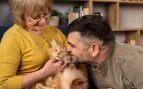 Gato, felino, animal, mascota, curiosidades