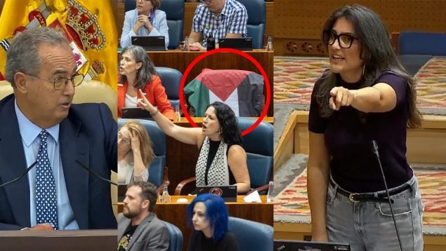 Ver vídeo