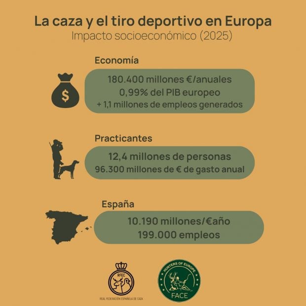 Infografía resumen