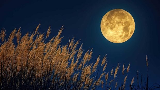 Superlunas