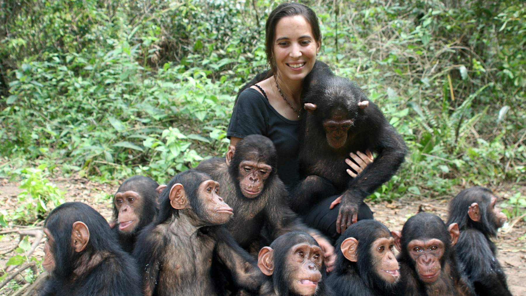 La directora del instituto Jane Goodall en República del Congo, Rebeca Atencia, junto a los chimpancés del Centro de Rehabilitación de Tchimpounga. (Foto: Instituto Jane Goodall).