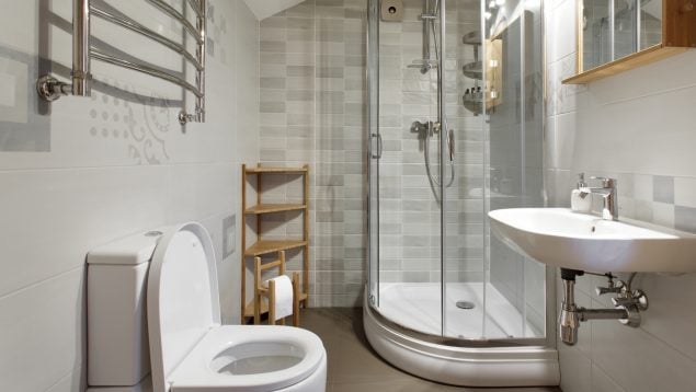 Bicho en el baño