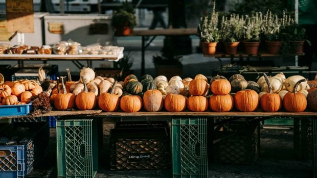 Madrid, mercados, otoño