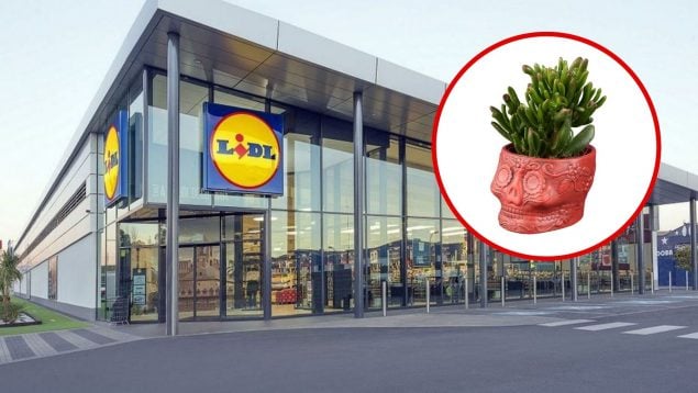 planta Lidl Halloween