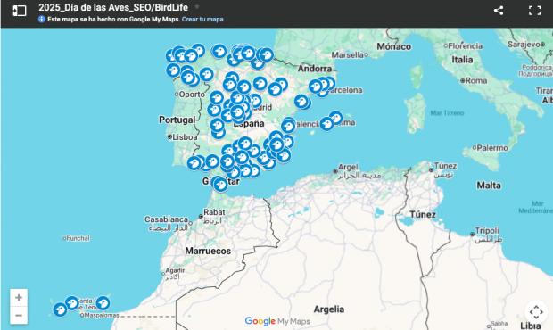 Mapa Dia Aves