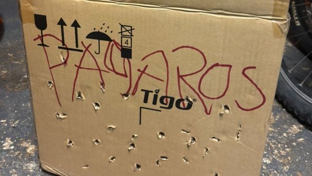 Diez de los 80 pájaros robados en Palma aparecen en una caja en una finca de Son Ferriol