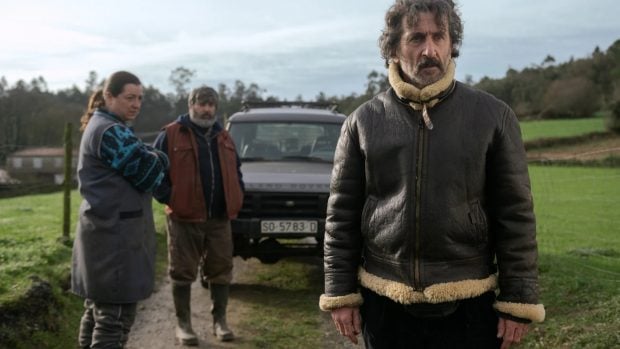 serie Netflix Luis Zahera