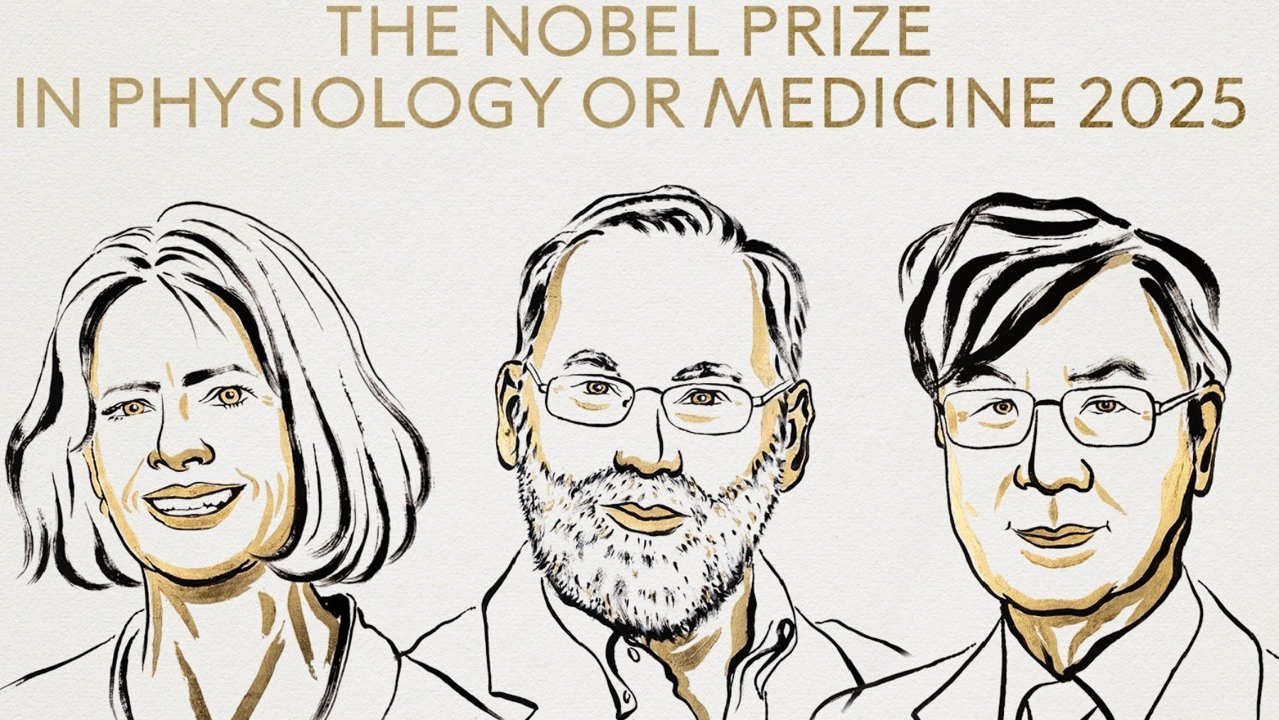 Nobel de Medicina para Brankov, Ramstell y Sakaguchi por descubrir cómo podemos controlar el sistema inmune
