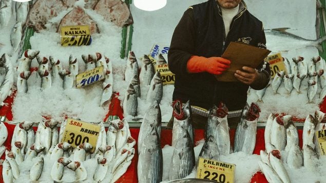Pescado es realmente fresco