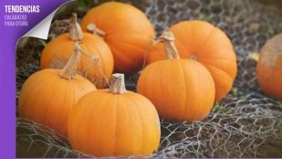 Madrid, mercados, calabazas, otoño