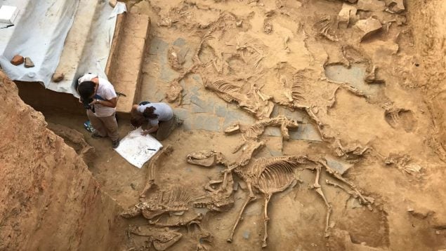 Yacimiento, cúpula, curiosidades