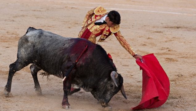 Toros en Andalucía