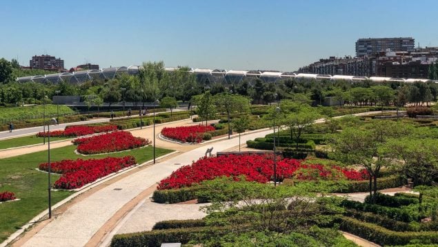 Zonas verdes y arboladas como Madrid Río pueden ser claves para reducir la mortalidad asociada al calor.