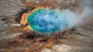 Yellowstone, naturaleza, curiosidades