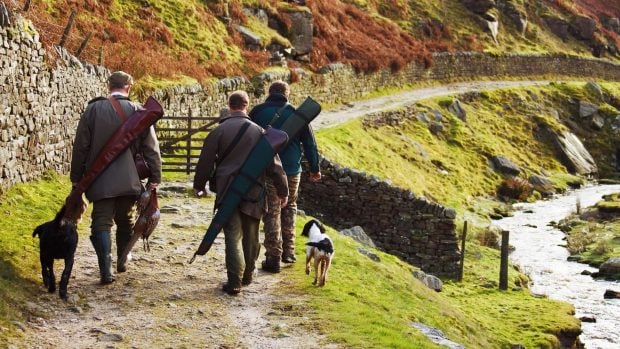 Animalistas destrozan una batida de jabalíes, animalistas contra la cacería en Galicia, Guardia Civil multa a animalistas por torpedear una batida de jabalíes.