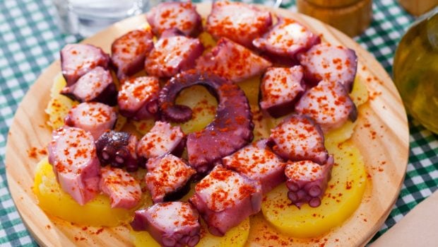 Pulpo gallego o marroqu&iacute;