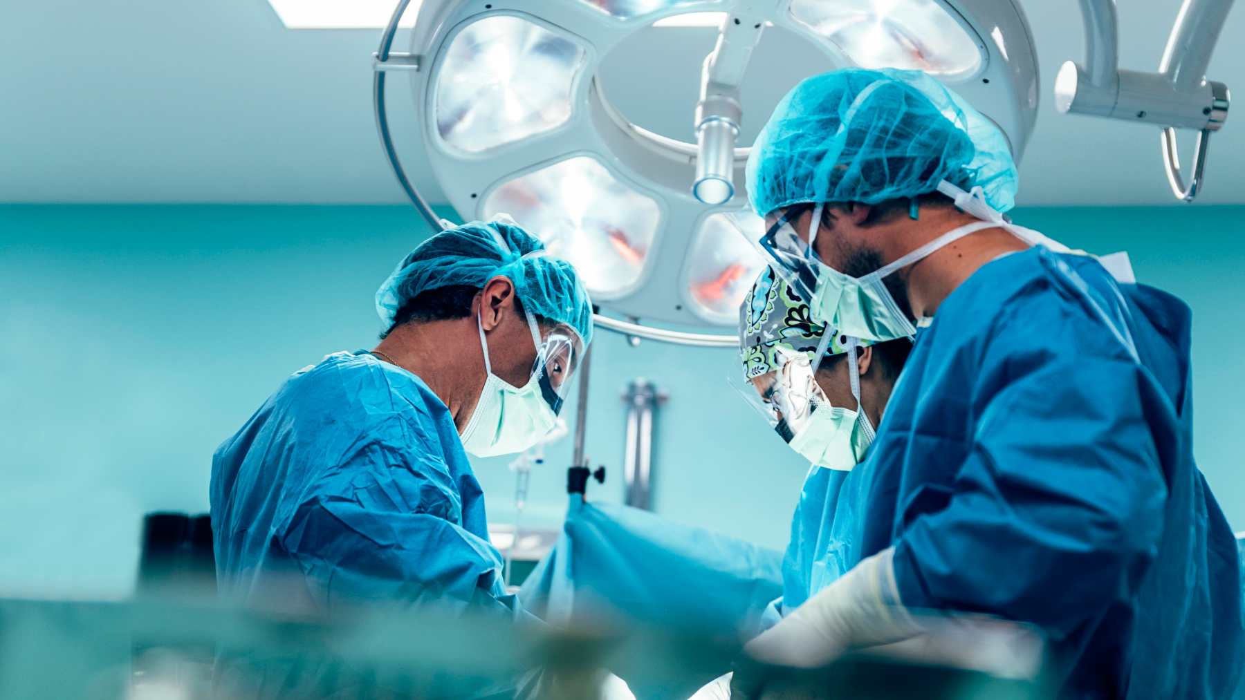 Un paciente sobrevive seis meses con un hígado de cerdo modificado genéticamente